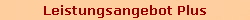 Leistungsangebot Plus
